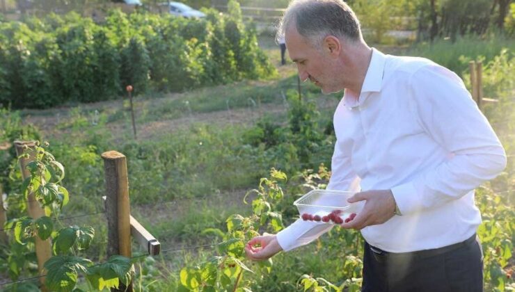 İnegöl Belediyesi ücretsiz toprak analizlerine devam ediyor