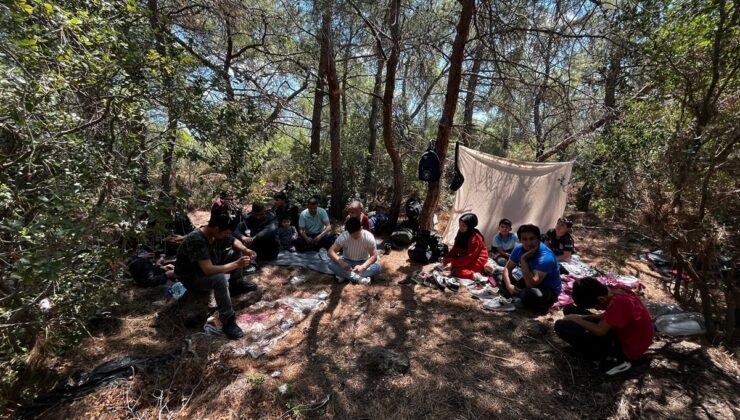 Jandarma 55 düzensiz göçmen ve 1 organizatörü yakaladı
