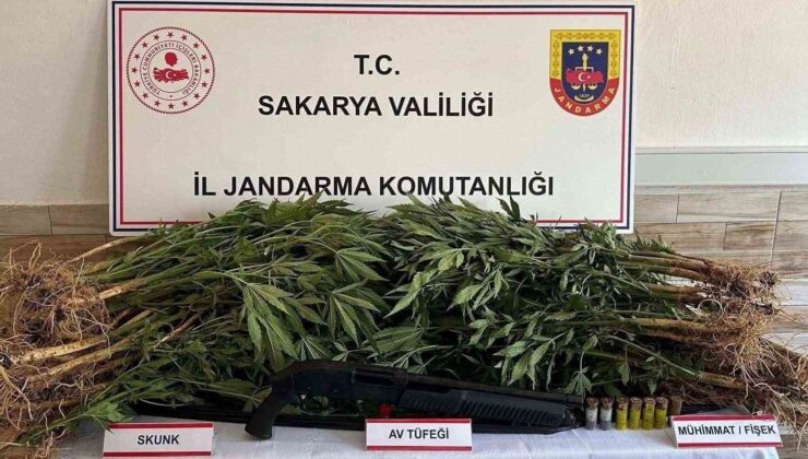 Jandarma altı ayda 55 kilo uyuşturucu ele geçirdi: Bin 165 şüpheliye işlem yapıldı