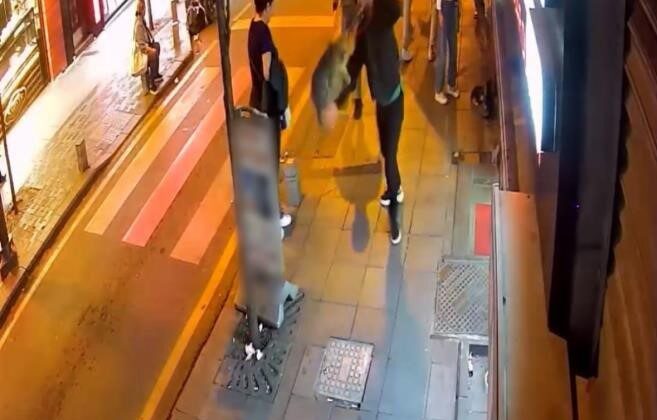 Kağıthane’de köpeklere saldıran “Gri Aslan” lakaplı kedi kamerada: Esnafı canından bezdirdi