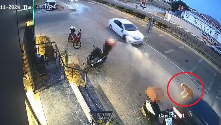 Kazada 2 otomobil arasında kalan köpek kıl payı kurtuldu
