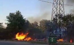 Kopan elektrik kablosu ağaçlık alanı alev alev yaktı