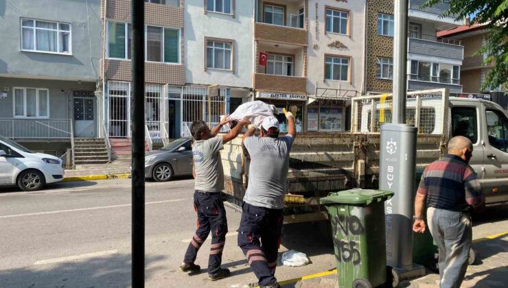 Körfez’de hummalı temizlik