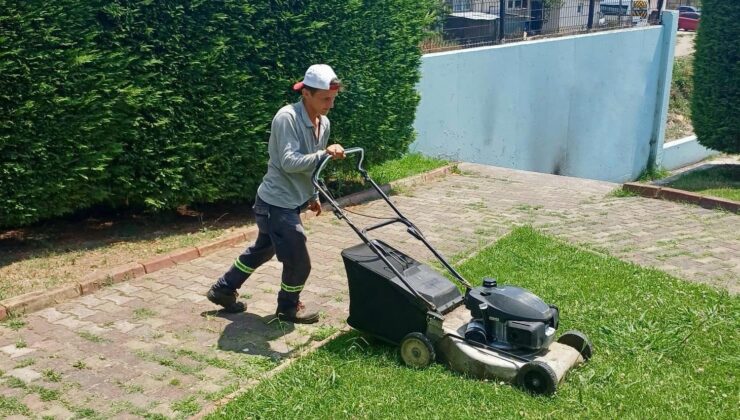 Körfez’in parklarına yaz bakımı