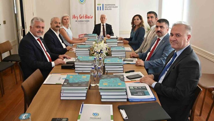 Marmara Belediyeler Birliği’nden çarpıcı sokak hayvanları raporu