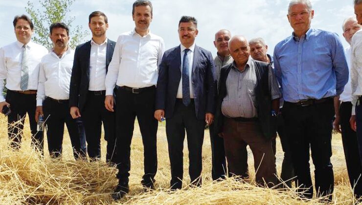 Mudanya’da hasat zamanı