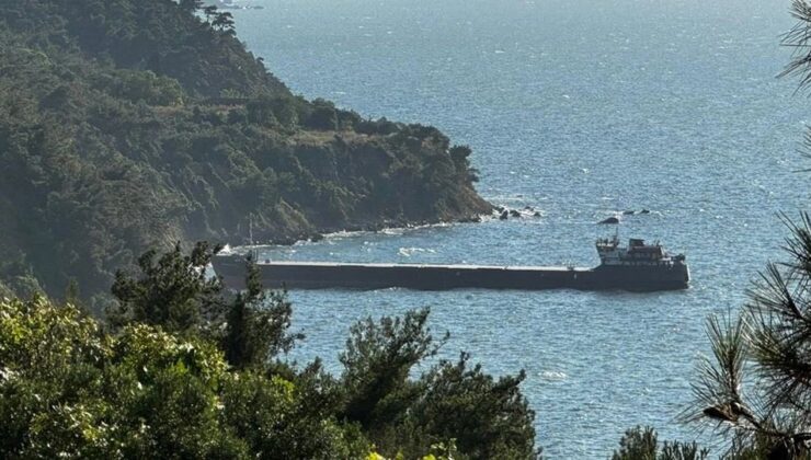 Mudanya’da yük gemisi karaya oturdu