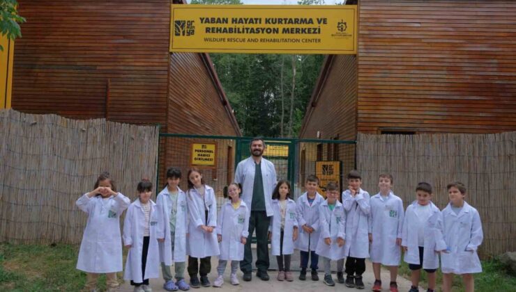 Ormanya’da yaz okulu başlıyor