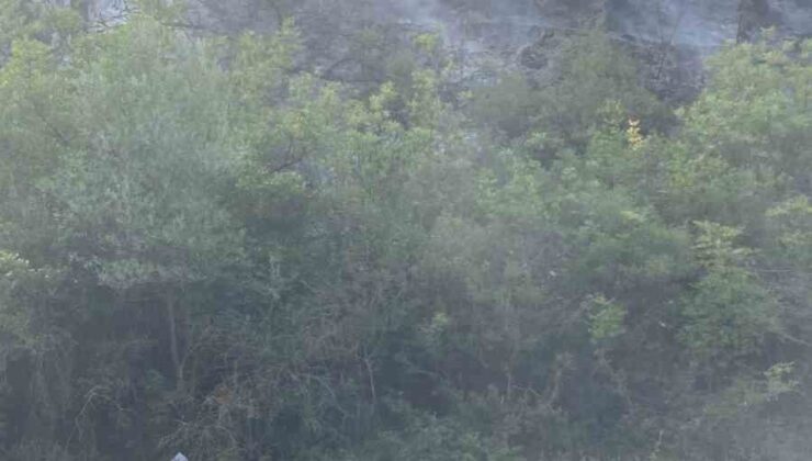 Osmaneli’de çıkan orman yangını büyümeden söndürüldü