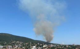 Pendik Aydos Ormanı’nda yangın çıktı. Olay yerine çok sayıda itfaiye ekibi sevk edildi.