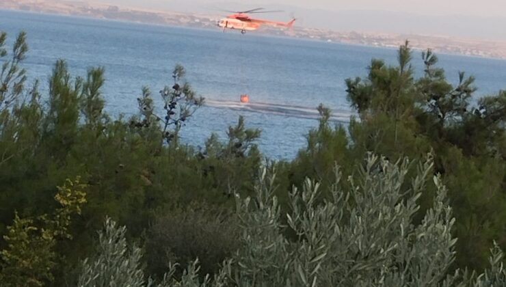Piknik ateşinden çıkan orman yangını söndürüldü