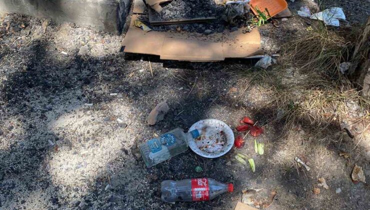 Piknikçiler çevreye attığı çöpler tepkilere neden oluyor