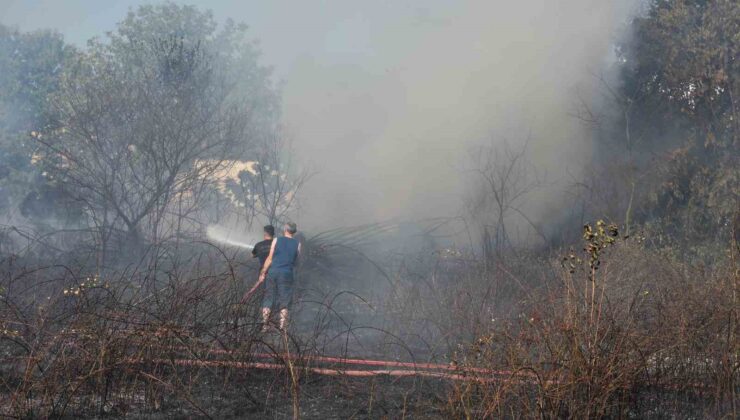 Sakarya’da arazi yangını ekipleri harekete geçirdi