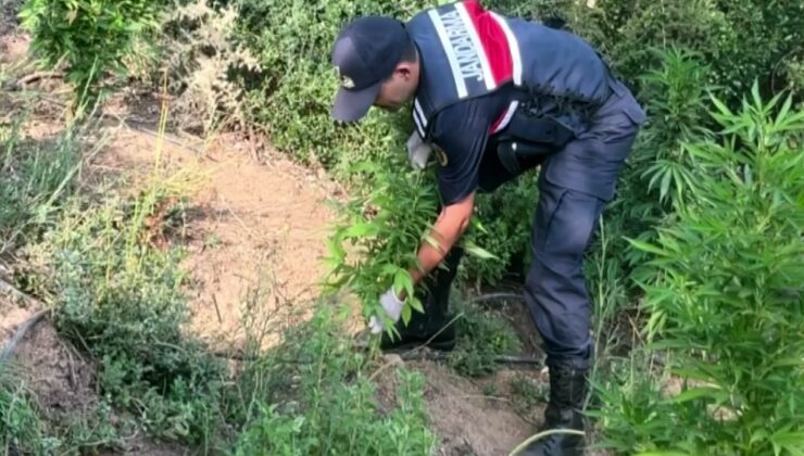Sakarya’da jandarmadan uyuşturucuya geçit yok