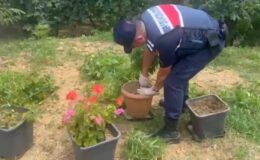 Sakarya’da uyuşturucu operasyonları: 21 gözaltı