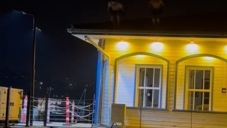 Serinlemek isteyen gençlerin tehlikeli oyunu kamerada