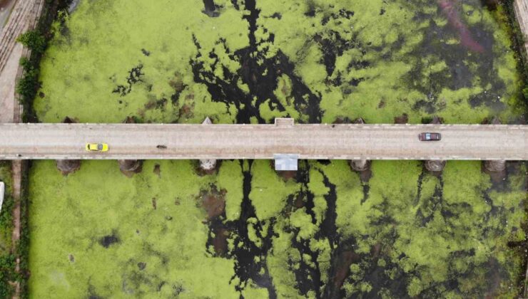 Su akışı durdu, Tunca Nehri yeşile döndü