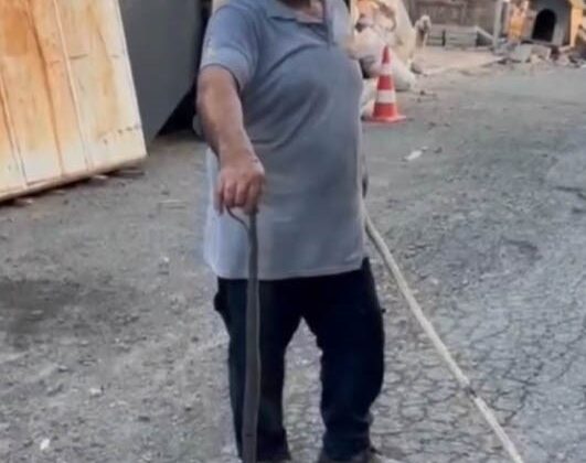 Sultangazi’de eve girmeye çalışan yılanı kedi engelledi