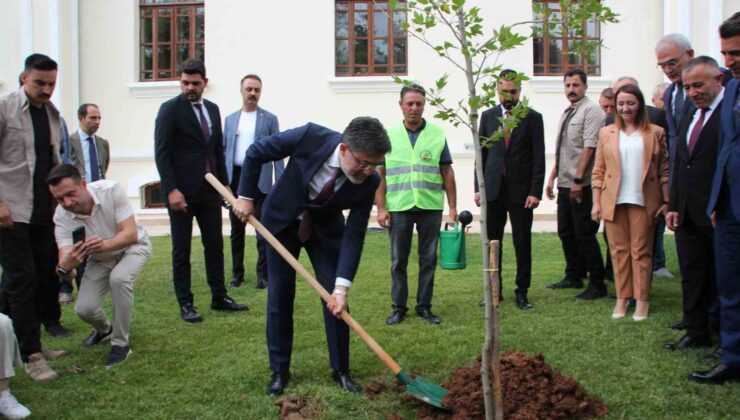 Tarım ve Orman Bakanı İbrahim Yumaklı, Bilecik’te çınar fidanı dikti
