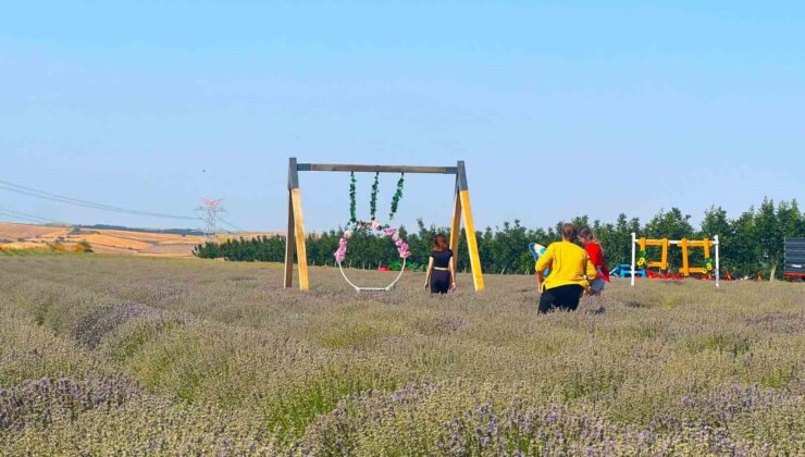 Tekirdağ 4’üncü Lavanta Günleri başlıyor