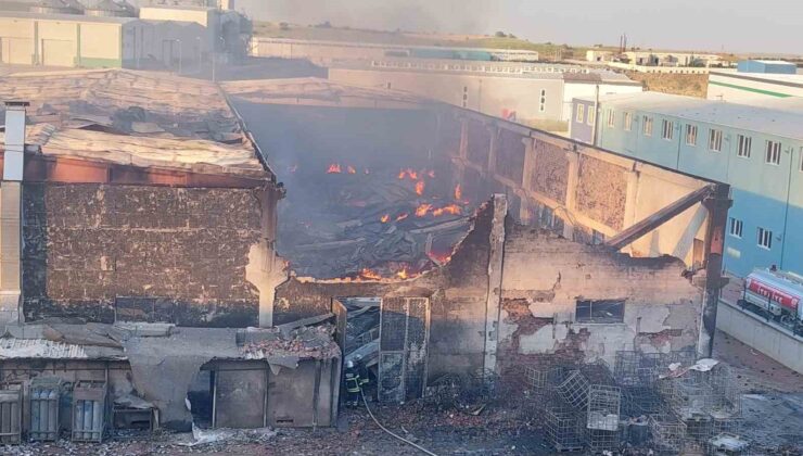 Tekirdağ’da kimya fabrikasındaki yangın bir fabrikaya daha sıçradı