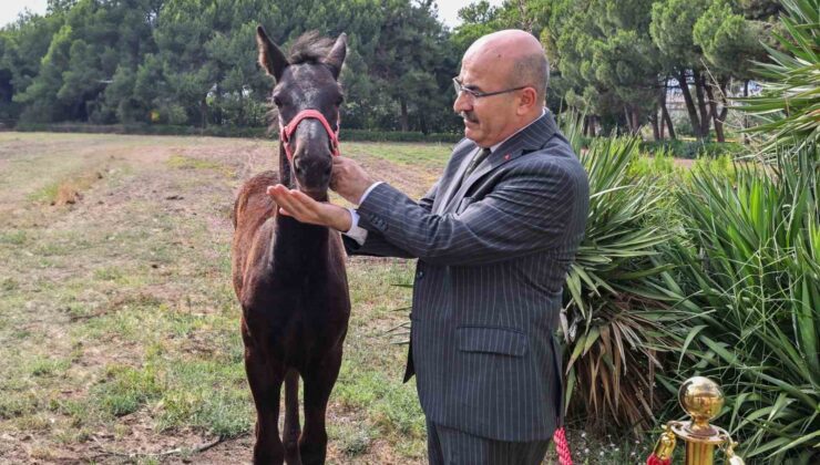 Vali Demirtaş’tan Askeri Veteriner Okulu’na ziyaret