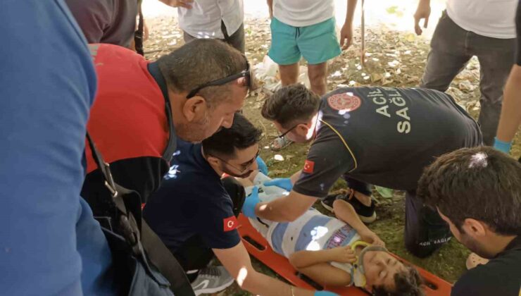 Yalova’da 5’inci kattan düşen çocuğu kivi asması kurtardı