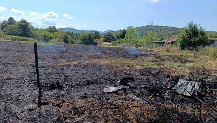 Yalova’da iki noktada çıkan orman yangınları ile ilgili savcılık soruşturma başlattı