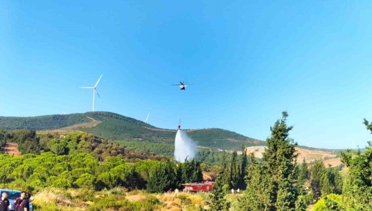 Yalova’da iki noktada çıkan yangınlar kontrol altına alındı