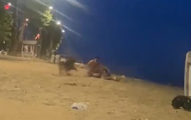 Yalova’da sahilde güreş antrenmanı yapan genci köpek ısırdı