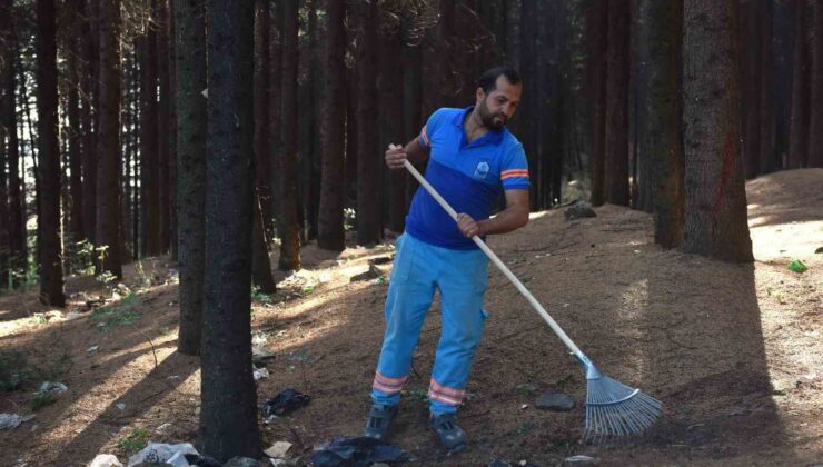 Yıldırım’da orman temizliği