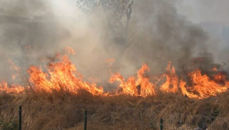 Zeytinburnu’nda otluk alandan alevler yükseldi