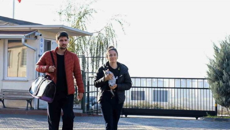 266 can dostu yeni yuvasına kavuştu