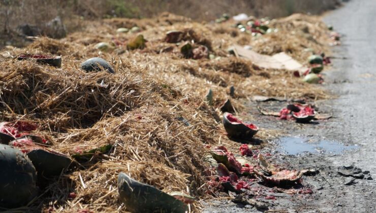 Arnavutköy’de yüzlerce karpuz yol kenarına atıldı, o anlar kamerada