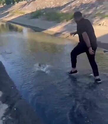 Balığı metrelerce kovaladılar: Videoyu çeken kişi kahkahaya boğuldu