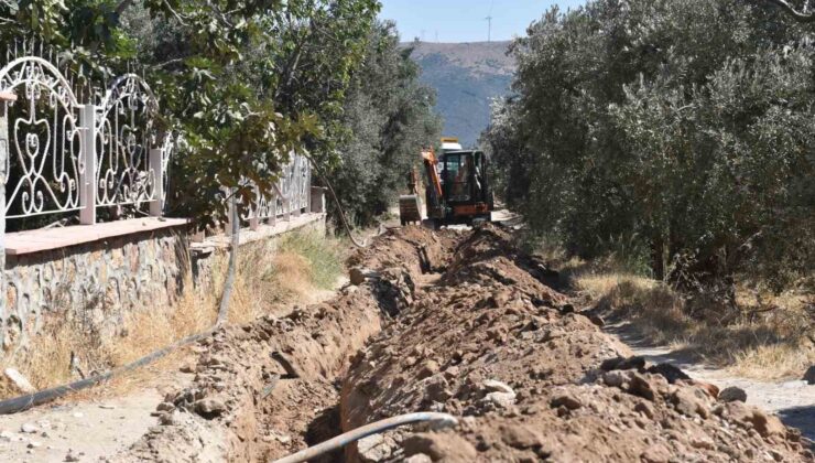Balıkesir’de, 80 bin zeytin ağacı suyla buluştu