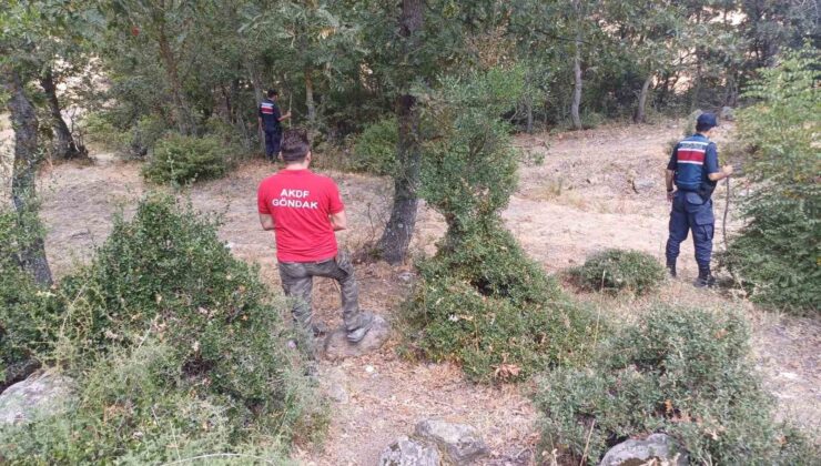 Balıkesir’de kaybolan kadın ortaya çıktı: Kendi isteğiyle saklanmış