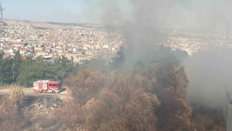 Balıkesir’in Çamlık mevkiinde çıkan arazi yangını söndürüldü