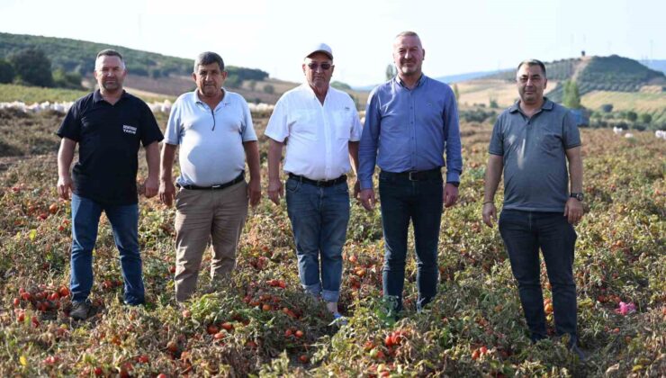 Başkan Karabatı’dan çiftçiye destek