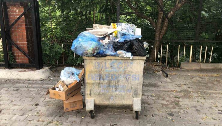 Bilecik’te toplanmayan çöpler endişe kaynağı