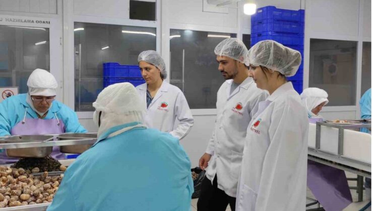 Bilecik’ten Fransa’ya ihracat yapan tesis denetlendi