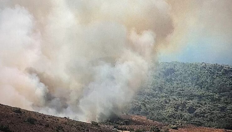 Bozcaada’da ziraat alanında yangın
