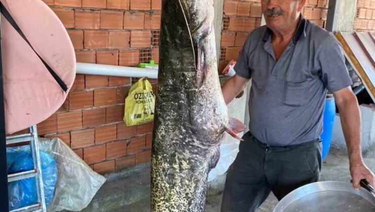 Bursa’da barajda 87 kilogramlık balık yakalandı