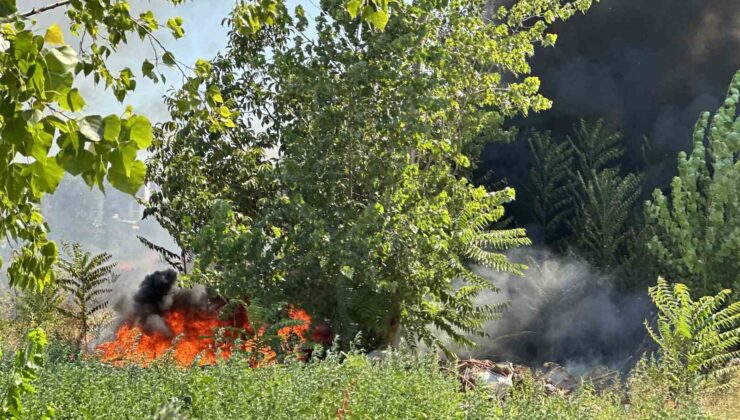 Bursa’da korkutan yangın : Odun depoları tehlike altında