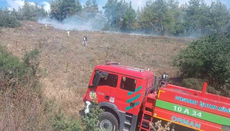 Bursa’da peş peşe çıkan yangınlar kontrol altına alındı