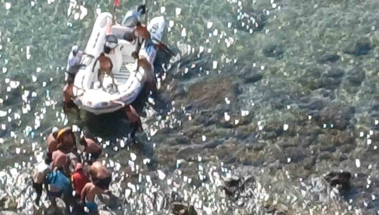 Çanakkale’de 30 metrelik uçurumdan düşen şahıs yaralandı