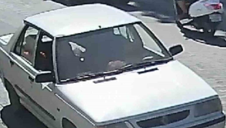 Çanakkale’de inanılmaz kurtuluş: Üzerinden otomobil geçen yavru köpek yaralanmadan kurtuldu