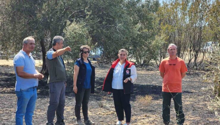 Çanakkale’de orman yangının ardından hasar tespit çalışmaları başladı