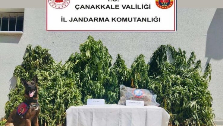 Çanakkale’de uyuşturucu operasyonu