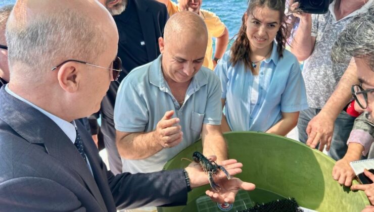 ÇOMÜ’nün Istakoz Yetiştirme Projesine YÖK Başkanı’ndan Destek